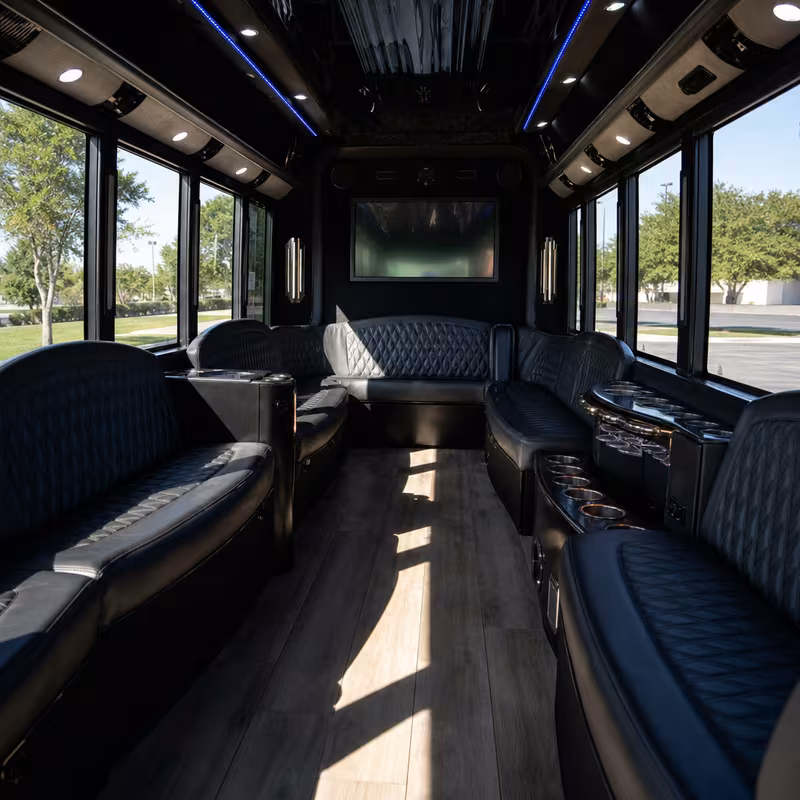 Passenger watching the Aurora scenery during a regional party bus road trip
